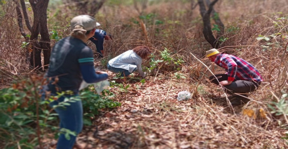2ª RODADA DA CAMPANHA DE COLETA DE SEMENTES REALIZADA PELO CBHLP