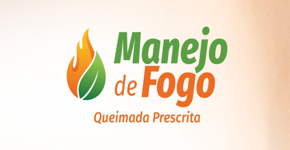 CAPACITAÇÃO EM MANEJO DE FOGO: UMA INICIATIVA ESSENCIAL PARA A SUSTENTABILIDADE AMBIENTAL