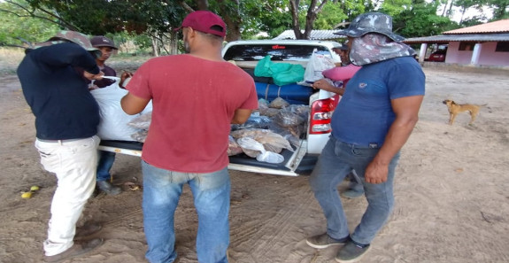 CBHRMA REALIZA COLETA DE SEMENTES VISANDO A PRESERVAÇÃO DA BACIA HIDROGRÁFICA DO RIO FORMOSO
