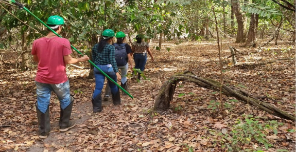 COLETA DE SEMENTES PELO CBHSAST: ETAPA 2 EM ANDAMENTO
