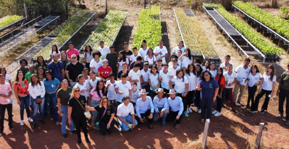 Comitê da Bacia Hidrográfica dos Rios Santo Antônio e Santa Tereza em Ação