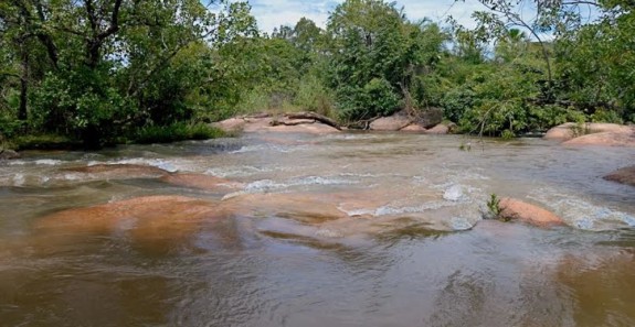 COMITÊ DO LAGO DE PALMAS APOIA ABRAÇO AO TAQUARUÇU