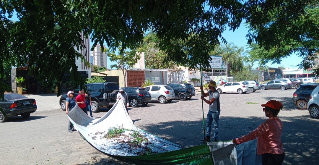 3º DIA: COLETA DE SEMENTES AVANÇA COM SUCESSO