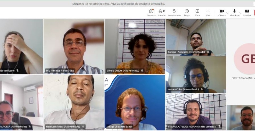 Reunião virtual ANA e CBHLP