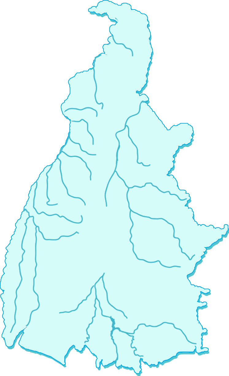 Mapa Comitês
